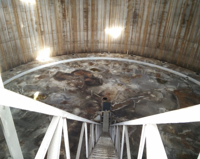 Figure 1: External Floating Roof under a dome