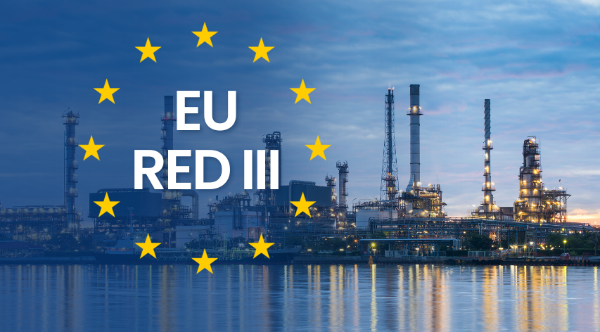 RED III Compliance and Why Every European Refinery Needs Its Own Strategy